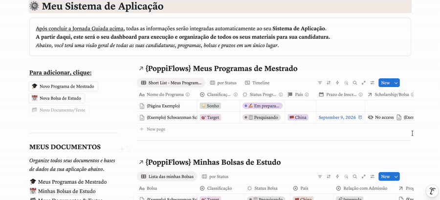 Dashboard do sistema de aplicação em funcionamento