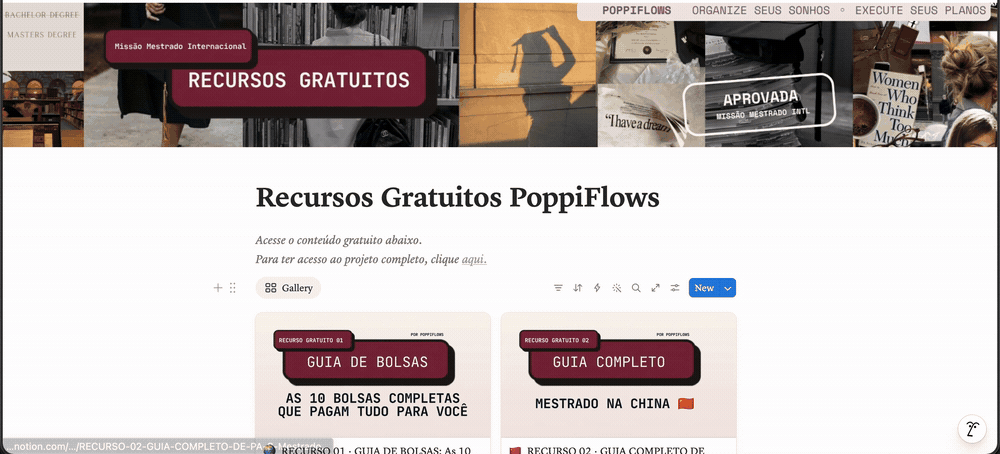 Prévia da Biblioteca Gratuita PoppiFlows no Notion